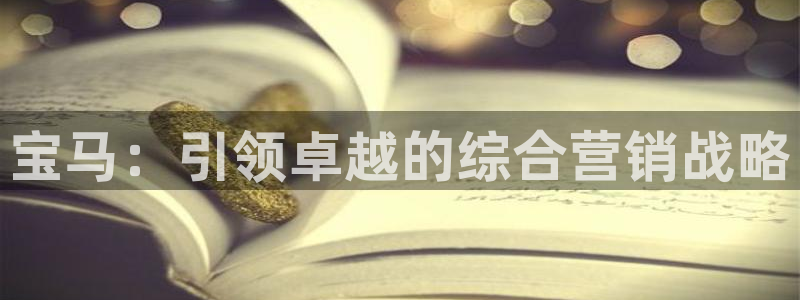 必赢公司是怎样的一家企业